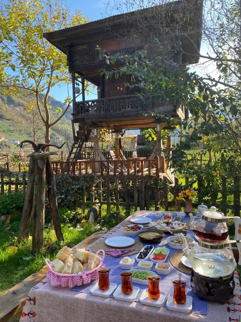 Zeni De Vore Serender & House Aparthotel Rize Ngoại thất bức ảnh